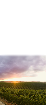 new_email_sidebar